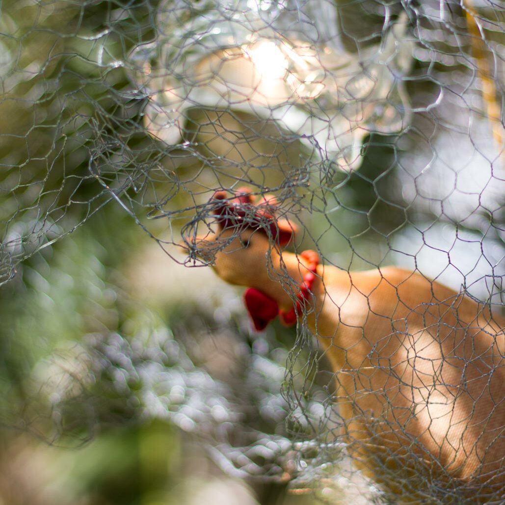 Luci Angela Gambardella - Luca Carrà -Archimia