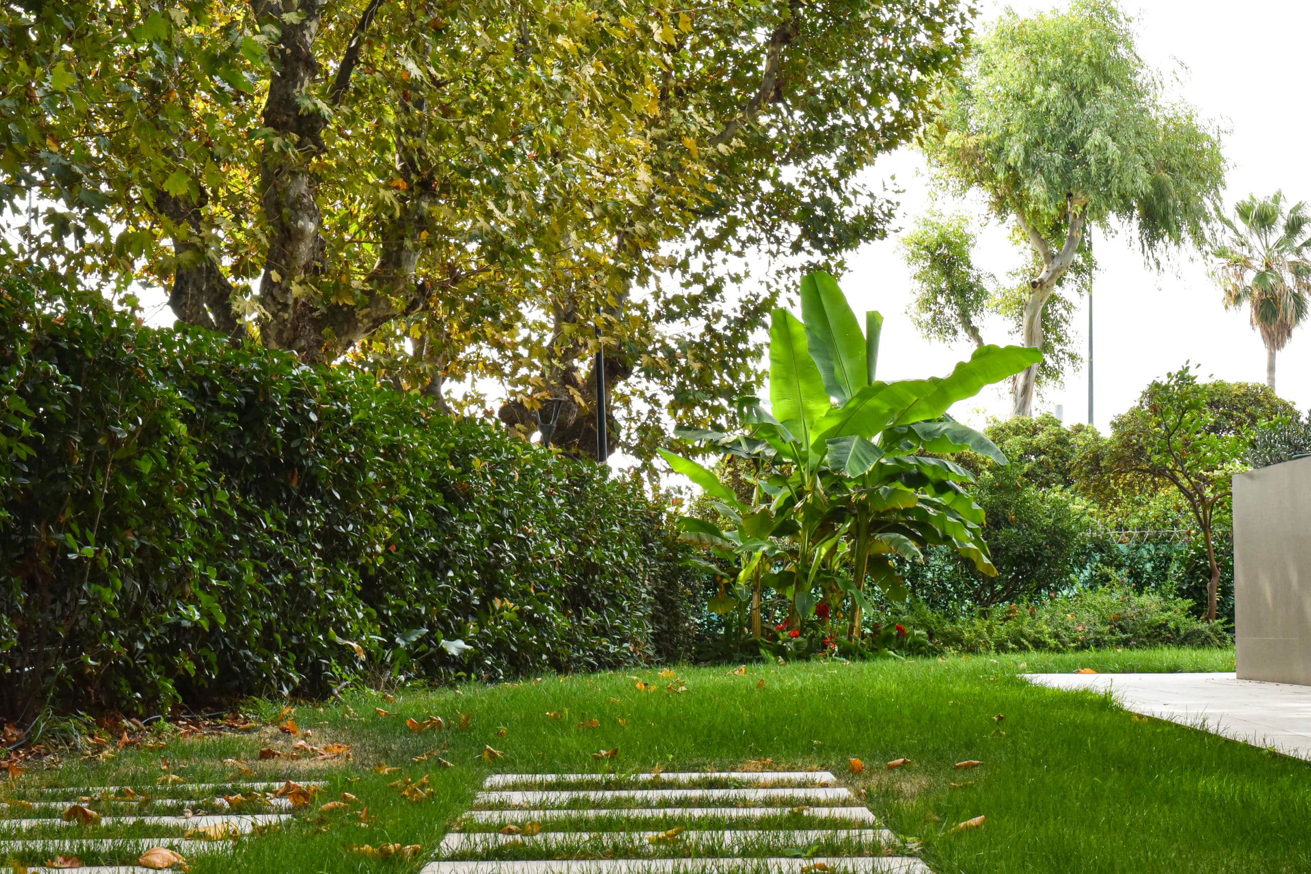 Dettaglio vegetazione